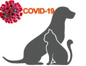 Рекомендации Всемирной организации по охране здоровья животных (МЭБ) касательно коронавирусной инфекции COVID-19 для владельцев домашних животных