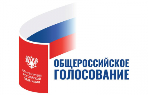 «Золотой стандарт» по общественному наблюдению за проведением общероссийского голосования
