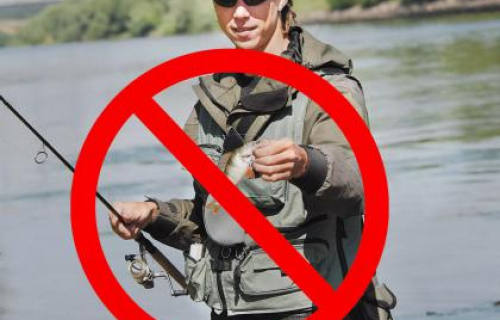 Выявлен нарушитель запрета на осуществление рыболовства