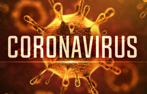 О ситуации по коронавирусу в Республике Карелия