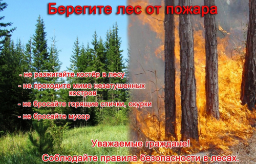 Берегите лес от пожара!