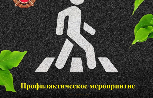 Профилактическое мероприятие  #ПешеходыКарелии