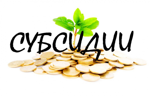 В Карелии прием заявлений от субъектов МСП и самозанятых на получение субсидий начнется в апреле