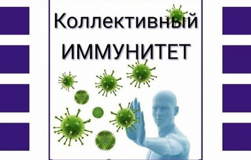 Порядок подачи заявок на получение паспорта коллективного иммунитета работников к коронавирусу