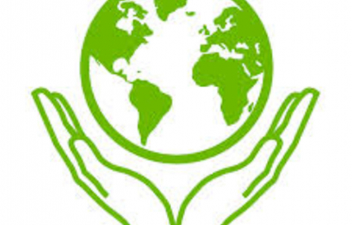 Стартовал Всероссийский конкурс «Экологический герб: знать, чтобы сохранить»