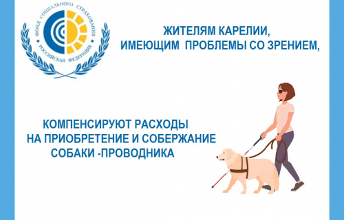 Жителям Карелии, имеющим проблемы со зрением, компенсируют расходы на приобретение и содержание собаки-проводника.