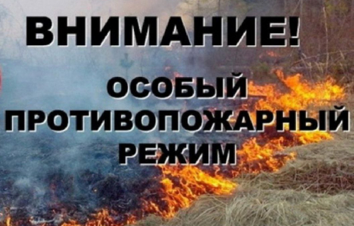В Карелии с 13 мая введён особый противопожарный режим и режим ограничения пребывания граждан в лесах