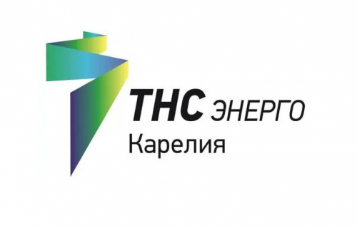 Специалисты «ТНС энерго Карелия» познакомили дачников с онлайн-сервисами