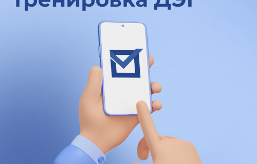 Стартовала общероссийская тренировка дистанционного электронного голосования (ДЭГ)