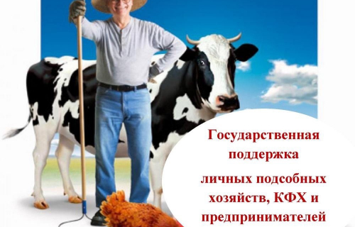 Минсельхоз Карелии в 2024 году реализует мероприятия по стимулированию увеличения производства картофеля и овощей.