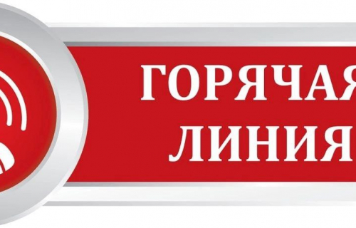 Горячая линия по компенсации стоимости проезда неработающих пенсионеров к месту отдыха