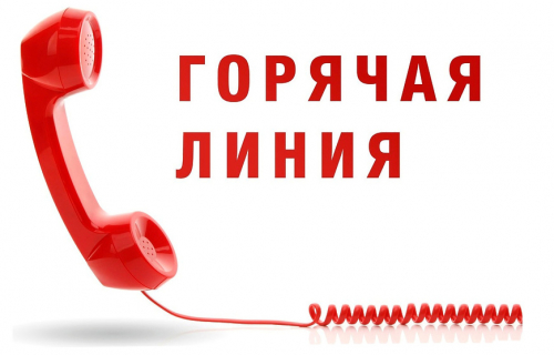 О проведении горячей линии 