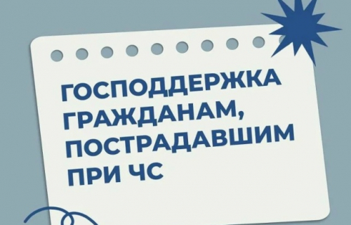 Дополнительные меры поддержки в части предоставления социальных гарантий.